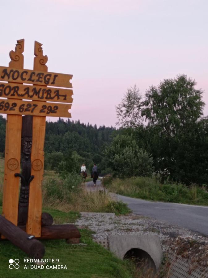 Domki ,,Goramiba" Jurgów Esterno foto